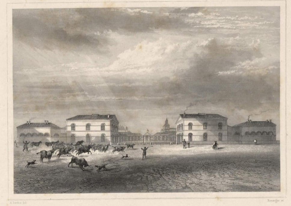 Abattoirs municipaux de bordeaux 1850