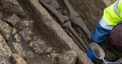 Visite des fouilles Place Renaudel à Bordeaux Fouilles places renaudel bordeaux