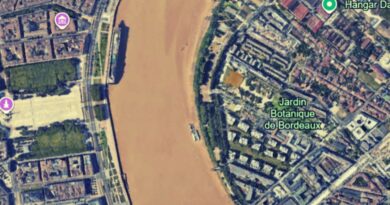 Place des quinconces - vue espace