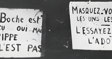 grippe espagnole bordeaux 1918