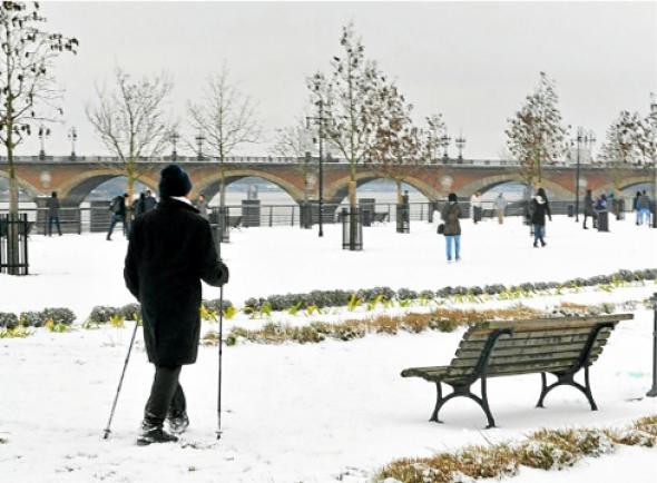 Gel de Bordeaux 2012